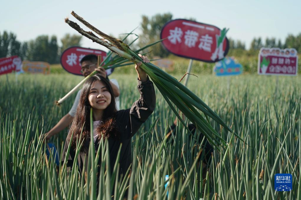 捕鱼大亨单机版